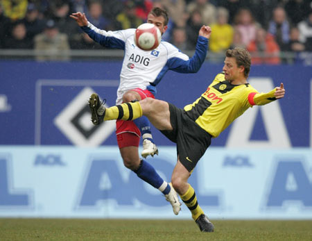 熊的比赛中 熊的比赛中