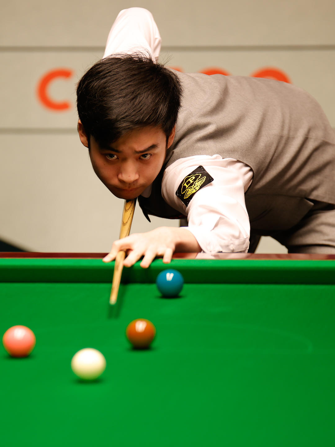 的胜利奠定 的胜利奠定