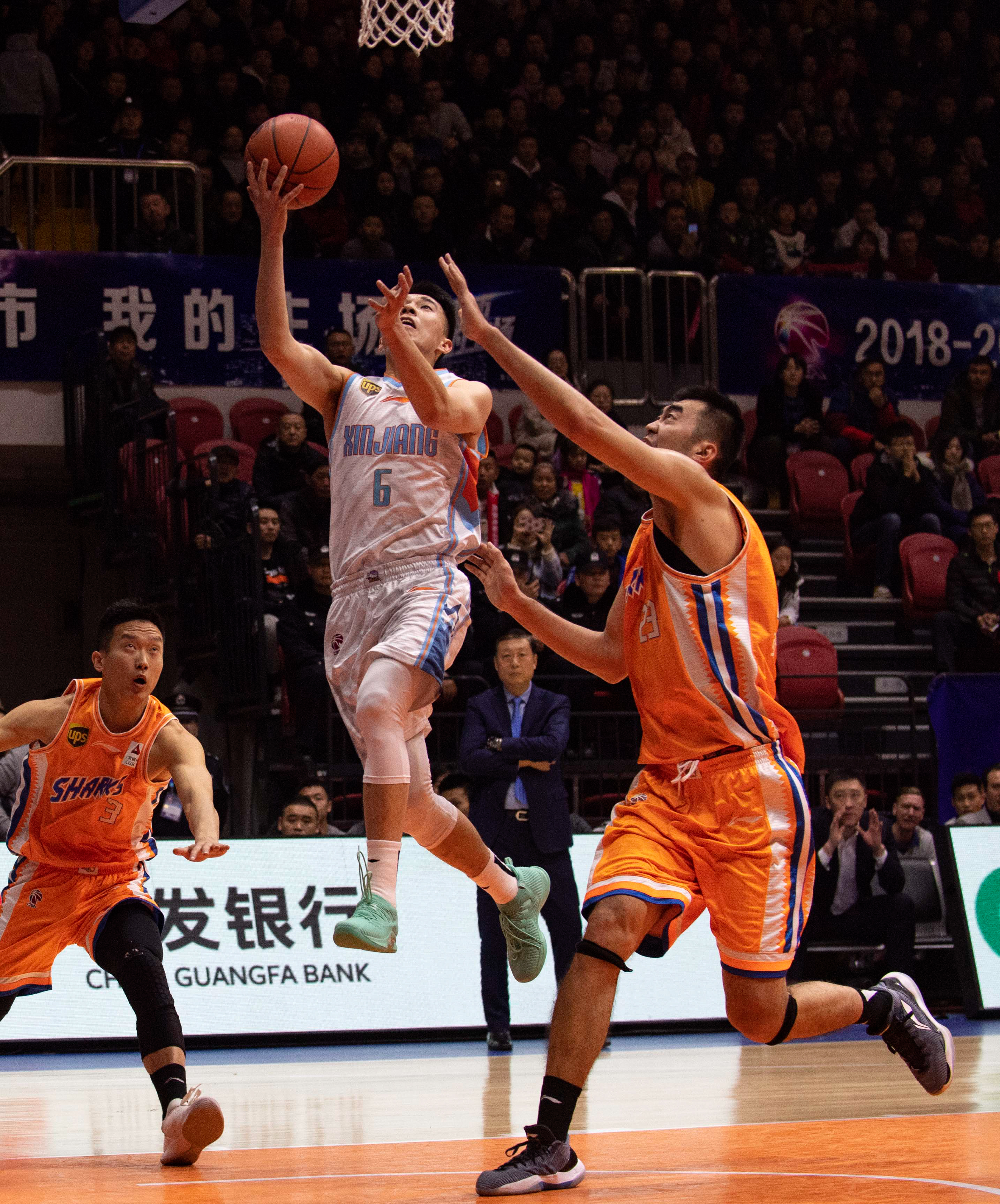 鹈鹕则似乎 鹈鹕则似乎